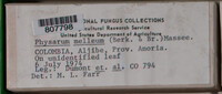 Image Associated With the Occurence